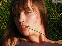 Erotica nineteen female sweet tits