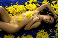 Mellow yellow become mesmerized with nicollet as she basks in the lush beauty of yellow against her golden skin and teases you with her oh-so-yummy pink pussy.