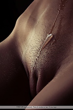 Erotica girl softcore pictures