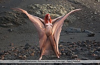 Teen femjoy style pic