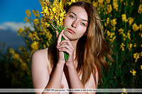 Free euro teen erotica softcore photography