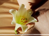 Free softcore pics zone