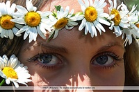  daisies russian direct sex teenies gallerys