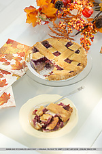 Adria rae new model adria rae flaunts her delectable body as she strips on the bed.