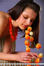 Erotica sexy models erotica models top 50 teen super models teen nude pics free