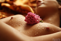 Free mpl studios teens naked mpl studios style gallery