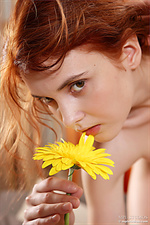 Mpl studios girls photo free amateur naked gallery