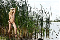 Free hot nude pics naked female pics