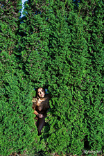 Teen sex 4 free