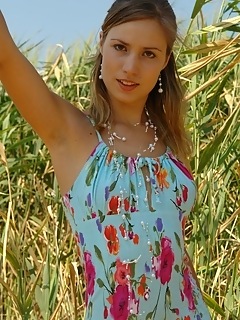 Summer art of dutch teen euro teen erotica